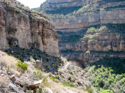 Lincoln National Forest, NM