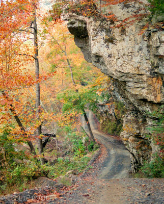 Ozark Plateau - Ozark Nat'l Forest, AR