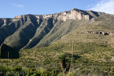 Basin and Range - Guadalupe Mtns Nat'l Park, TX