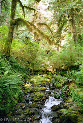 Best of the Pacific Mountain System