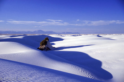 White Sands Nat'l Monument, NM