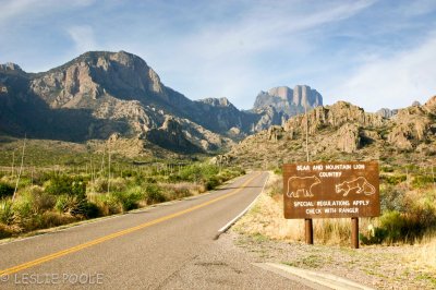 Big Bend Nat'l Park, TX