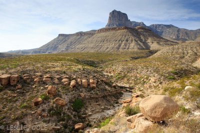Guadalupe Mtns Nat'l Park, TX