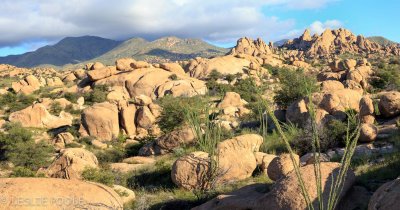 Little Dragoon Mtns, AZ