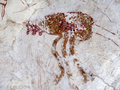 Rock Art of the Lower Pecos: Mystic and Cedar Rock Art Sites, Devil's River, TX