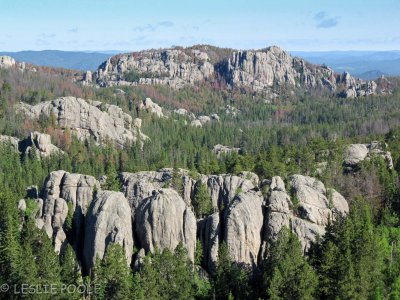 Custer State Park, SD