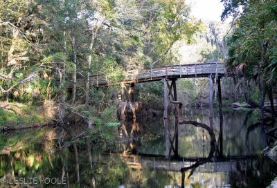 Hillsborough River State Park, FL