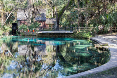 Juniper Springs Recreation Area, Ocala National Forest, FL