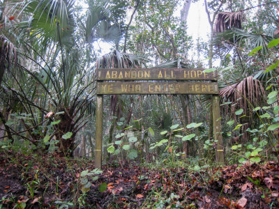 Hillsborough River 17 Runs, Tampa, Florida