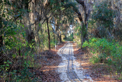 Train Tracks, Boots Faraway Farm, Candler, FL