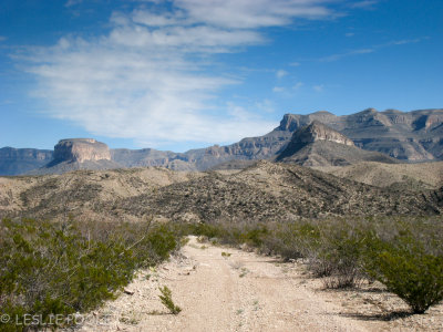 Black Gap Wildlife Management Area, TX