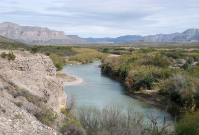 Black Gap Wildlife Management Area, TX