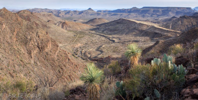 La Monilla area, Big Bend Ranch State Park, TX