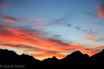 Gilbert Ray Campground, Tucson Mountain Park, AZ