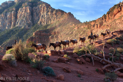 South Kiabab Trail, South Rim, Grand Canyon National Park, AZ