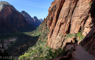 West Rim Trail, Zion National Park, UT