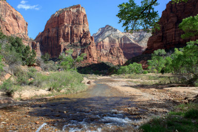 The Grotto, Zion National Park, UT