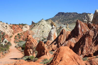 March and April - Arizona and Utah