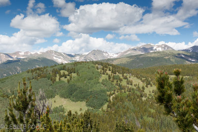 The Saddle, Arapaho Nat'l Forest, CO