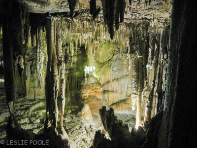 Lehman Cave, Great Basin National Park, NV