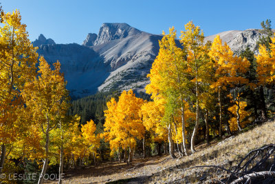 Wheeler Peak, Great Basin National Park, NV