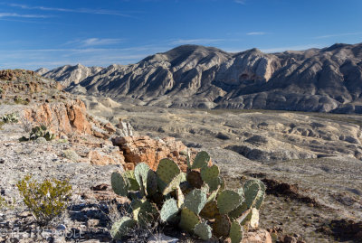 West Rim Overlook Trail, Big Bend Ranch State Park, TX