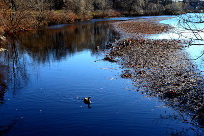 Walden Pond 