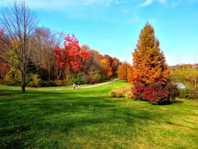 Van Saun Park