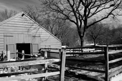 Corrals