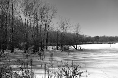 Frozen Lake Appert