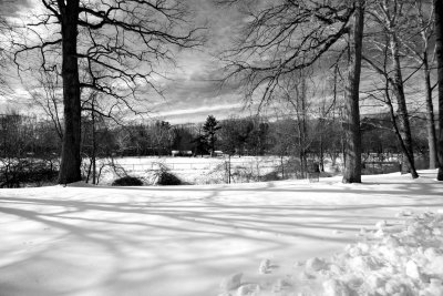 Snowfield