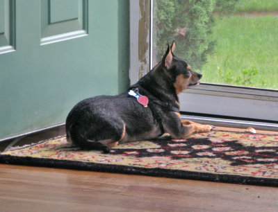 Fidelma at the Front Door