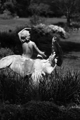 Boy and Eagle