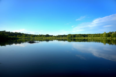 Lake Appert in June