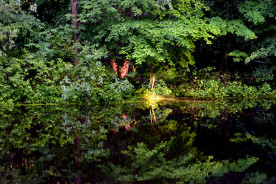 Late Afternoon Reflection 