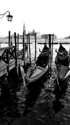 Venice