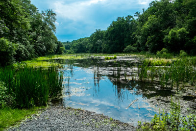 Lake Surprise