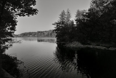 g9/50/1174650/3/163865714.3vZxXqZN.jpg