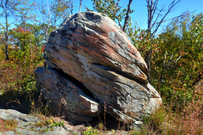 Glacier Erratic