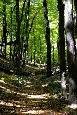 Red Trail