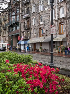 Savannah GA Olympus 20150322-3.jpg