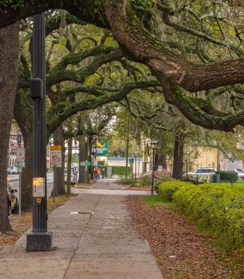 savannah_ga_2015