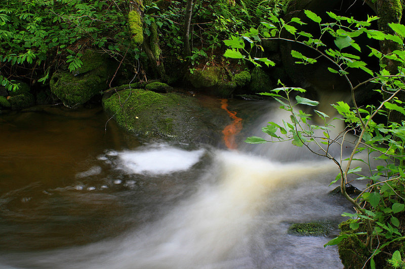 A little creek