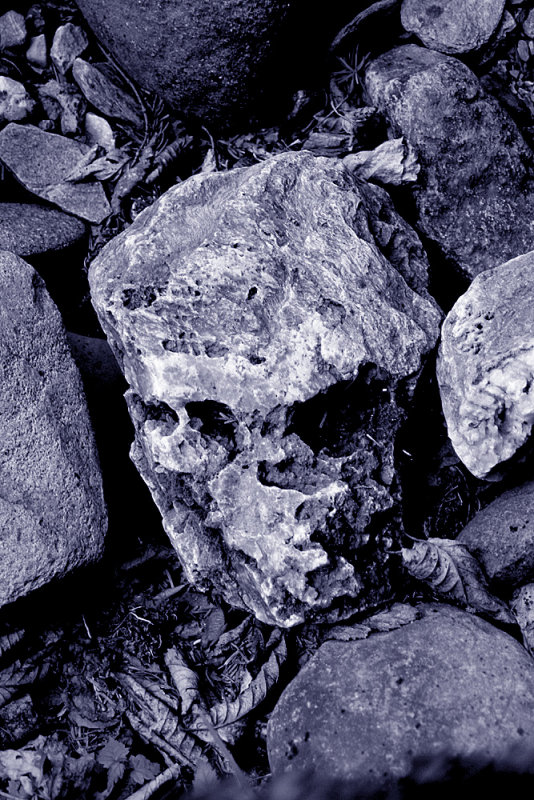 Skull solid as a rock!!