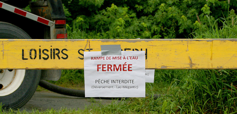 Image 001.jpg