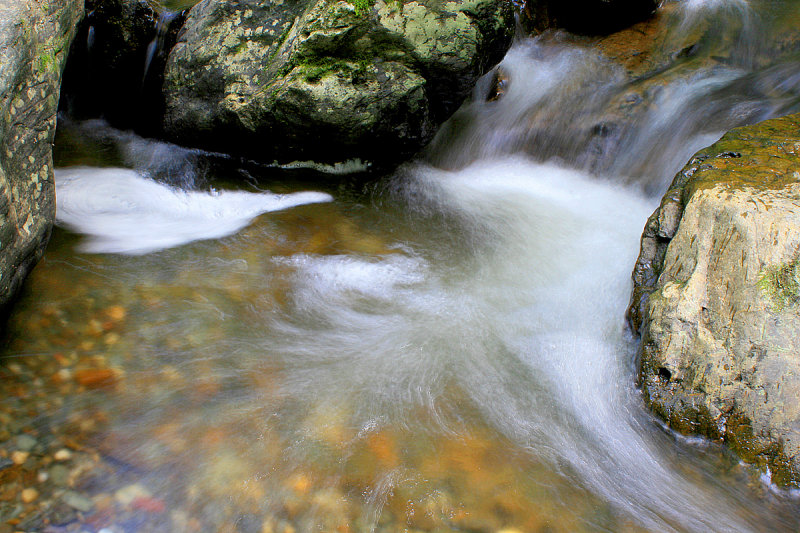 IMG_5929.jpg
