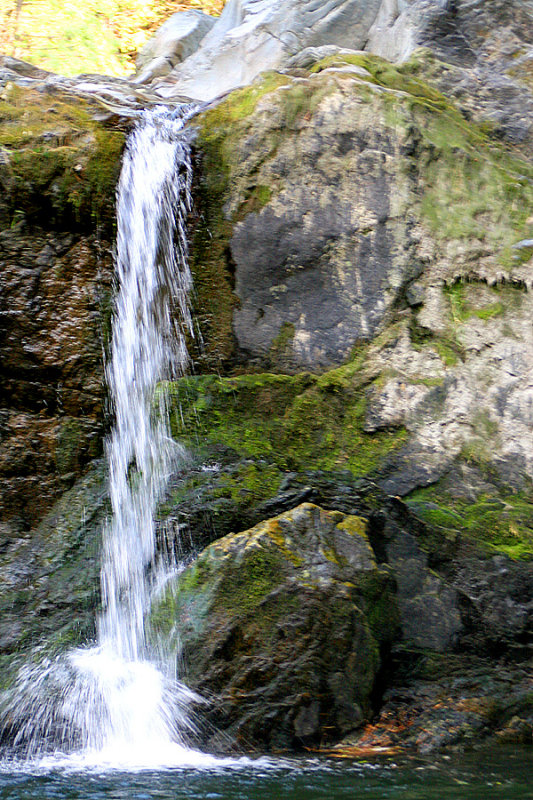IMG_6656.jpg