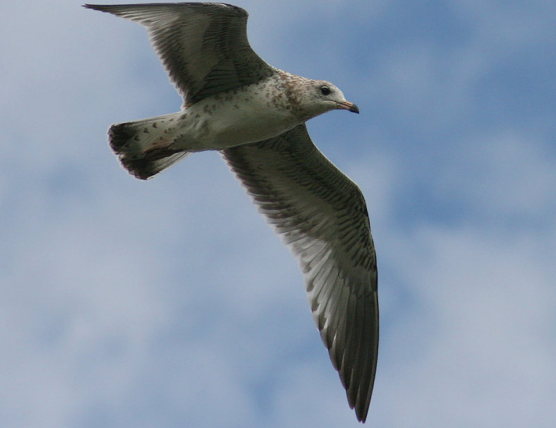 IMG_7411.jpg