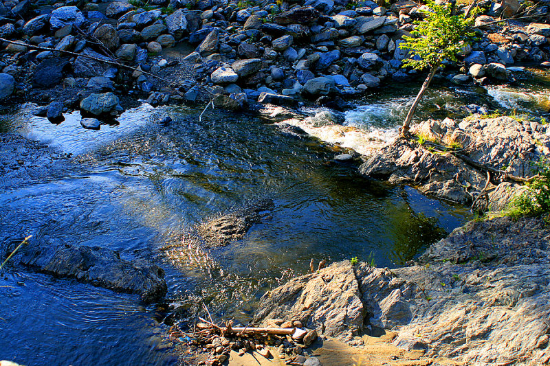 IMG_7588.jpg