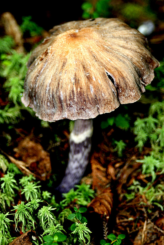 IMG_7728.jpg